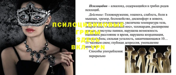 прущая мука Горно-Алтайск