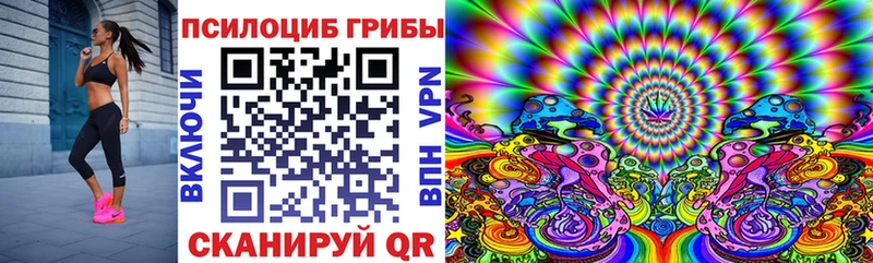 цена   Мценск  Псилоцибиновые грибы Cubensis 